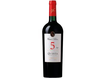 Quinta Generación Casa Silva 2022 75 cl CARx6