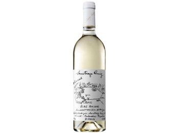 Rias Baixas DO Albariño Santiago Ruiz 2024 75 cl CARx6