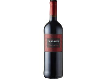 Ribera del Duero D.O. La Planta Bodegas Arzuaga Navarro 2024 75 cl CARx6