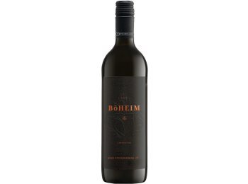 Ried Stuhlwerker Carnuntum DAC 2021 75 cl CARx6