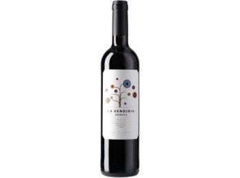 Rioja La Vendimia DOC 2022 75 cl CARx6