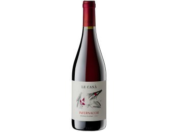 Rosso Piceno DOC Infernaccio 2024 75 cl CARx6