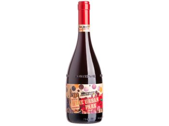 Rosso Veneto IGT Appassimento "Wine Urban Park" 2021 75 cl CARx6