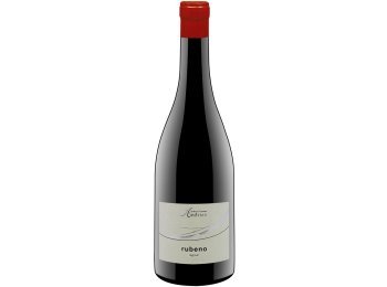Rubeno Lagrein Andrian 2024 75 cl CARx6