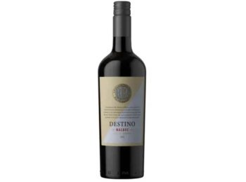 Rutini Destino Malbec 2024 75 cl CARx6