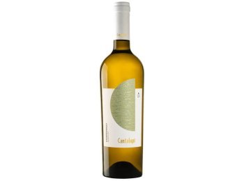 Salento IGT Chardonnay Cantalupi 2025 75 cl CARx6