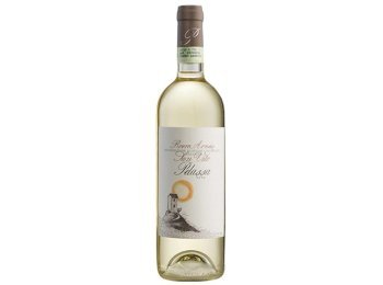 San Vito Roero Arneis DOCG 2024 75 cl CARx6