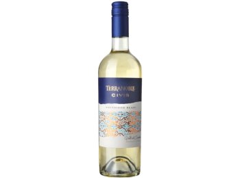 Sauvignon blanc CIVIS 2023 75 cl CARx6
