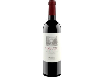 Sor Ugo Bolgheri Superiore Aia Vecchia 2022 75 cl CARx6