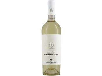 Tacco Barocco Negroamaro Bianco Puglia IGP 2024 75 cl CARx6