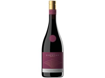 Teroldego Rotaliano Superiore Riserva Trentino DOC Castel Firmian Mezzacorona 2022 75 cl CARx6
