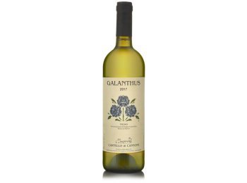 Ticino DOC Bianco di Merlot Galanthus 2023 75 cl CARx6