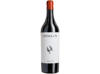 Ticino DOC Cabernet Franc Riserva Ungulus 2023 75 cl CARx6