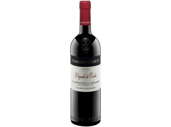 Torbae Valpolicella Ripasso Classico Superiore DOC Domini Veneti 2022 75 cl CARx6