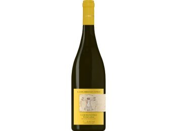 Vermentino IGT Vitruviano Leonardo da Vinci 2024 75 cl CARx6