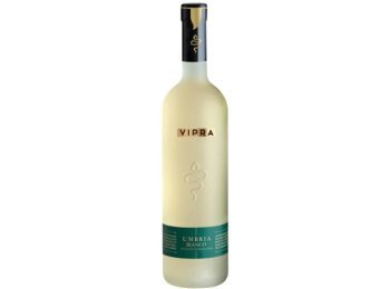 Vipra bianca 2023 75 cl CARx6
