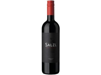Zweigelt Reserve Salzl QWt Burgenland 2022 75 cl CARx6