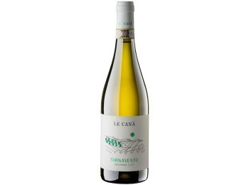 Pecorino Offida DOCG Tornavento 2024 75 cl CARx6