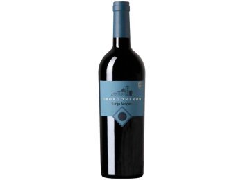 Rosso Toscana IGT Borgonero 2022 75 cl CARx6