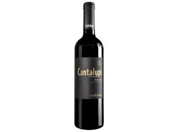Salento IGT Primitivo Old Vineyards Cantalupi 2024 75 cl CARx6