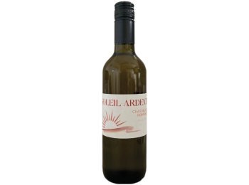 Soleil Ardent Chasselas Romand vin de pays 100 cl CARx6