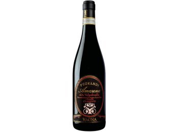 Amarone Valpolicella Classico PEGRANDI DOCG Alberto Vaona 2020 75 cl CARx6