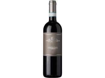 Barbera d'Alba DOC Rocche Costamagna 2023 75 cl CARx6