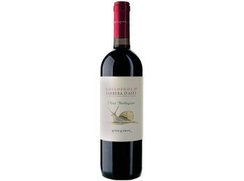 Barbera d'Asti DOCG Rosso Fuoco - Bio Vite Colte 2024 75 cl CARx6