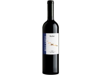 Belcampo Merlot Svizzera IGT 2022 75 cl CARx6