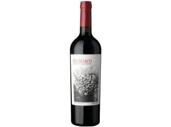 Benmarco Cabernet Sauvignon Susana Balbo 2019 75 cl CARx6