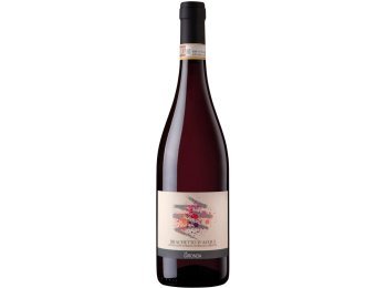 Brachetto d'Acqui DOCG La Gironda 2025 75 cl CARx6