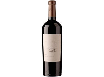Brioso Mendoza Susana Balbo 2020 75 cl CARx6