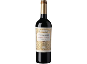 Cabernet Sauvignon Reserva Especial Terranoble 2024 75 cl CARx6