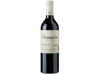 Campo de Borja D.O. Barambán 2022 75 cl CARx6