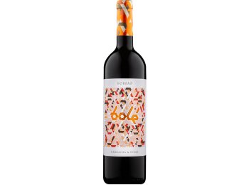 Campo de Borja D.O. Bolé Bodegas Borsao 2021 75 cl CARx6