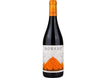 Campo de Borja D.O. Tinto Selección Bodegas Borsao 2022 75 cl CARx6