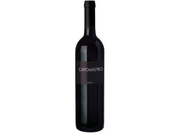 Capo Mastro Veneto IGT 2024 75 cl CARx6