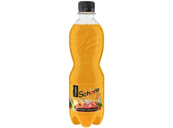 Cappy Schorle PET 50 cl CARx24