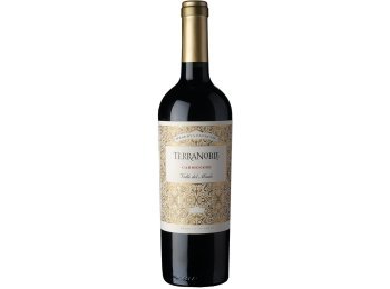 Carmenère Reserva Especial 2019 75 cl CARx6