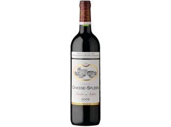 Château Chasse-Spleen Cru Bourgeois Exceptionnel Moulis-en-Médoc AC 2018 75 cl CARx6