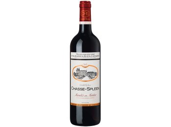 Château Chasse-Spleen Moulis-en-Médoc AC 2021 75 cl CARx6
