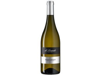 Friuli DOC Pinot Grigio 2025 75 cl CARx6