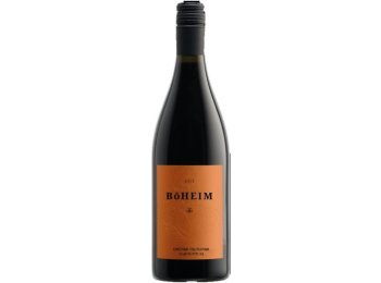 Grüner Veltliner Carnuntum DAC 2025 75 cl CARx6