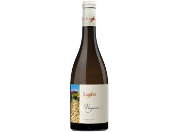 Laurus Viognier Pays d’Oc IGP 2025 75 cl CARx6