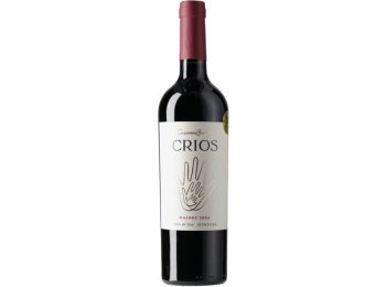 Malbec Crios Susana Balbo 2024 75 cl CARx6