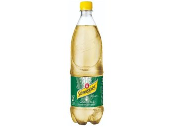 Schweppes Ginger Ale PET 100 cl CARx6
