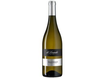 Venezia Giulia IGT Sauvignon Blanc 2025 75 cl CARx6