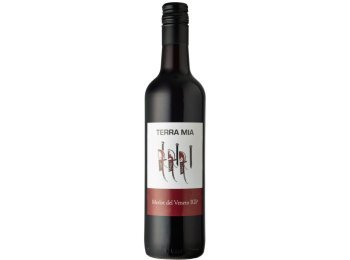Terra Mia Merlot Veneto IGP 2023 50 cl VINIx15