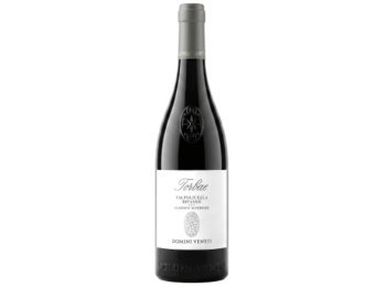 Torbae Valpolicella Ripasso Classico Superiore DOC Domini Veneti 2023 75 cl CARx6