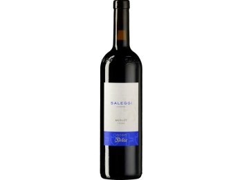 Merlot di Losone Ticino DOC Saleggi Vini & Distillati Angelo Delea SA 2024 75 cl CARx6